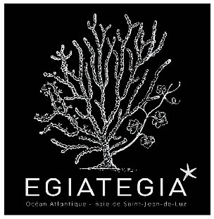 Egiategia